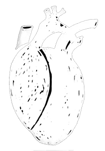 white-heart Chapel of Jimmy Ray Gallery